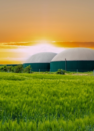 Biogas_Teaser_Shutterstock